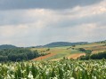 Opština Gornji Milanovac poljoprivrednicima dala bespovratna podsticajna sredstva