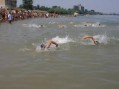 46. Međunarodni plivački maratona Jarak-Šabac